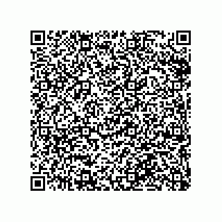 vCard 79063480210