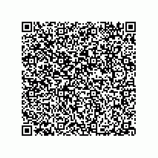 vCard 79063480211