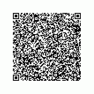 vCard 79063480213