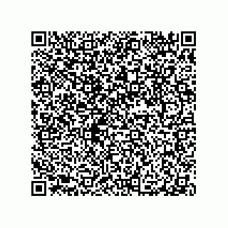 vCard 79063480217
