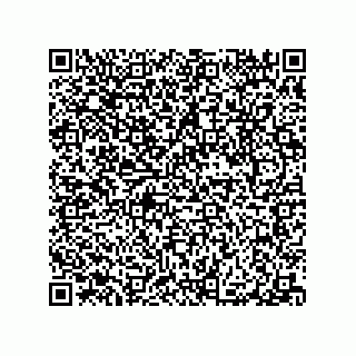 vCard 79063480221