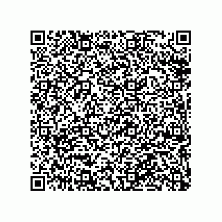 vCard 79063480222
