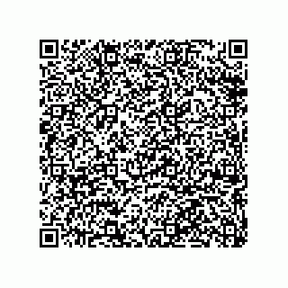 vCard 79063480229