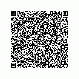 vCard 79063480233