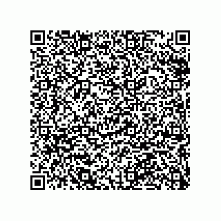 vCard 79063480234