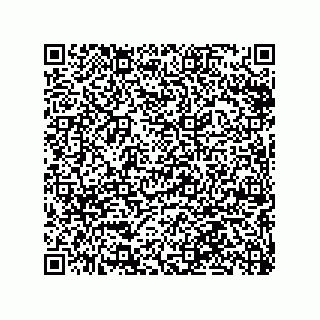 vCard 79063480238