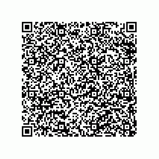 vCard 79063480247