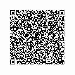 vCard 79063480251