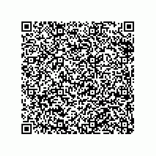 vCard 79063480253