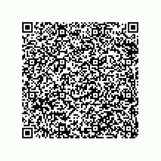 vCard 79063480259