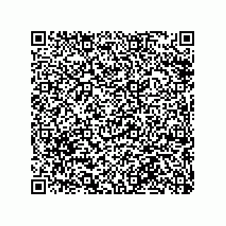 vCard 79063480260