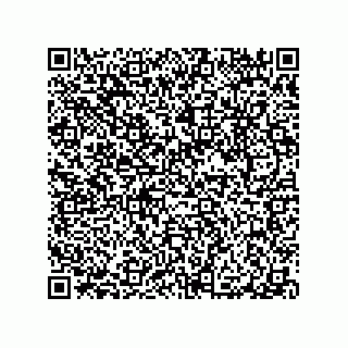 vCard 79063480263