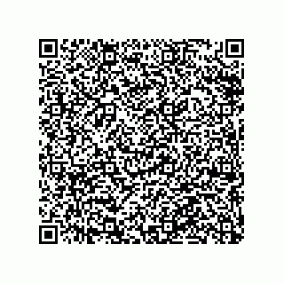 vCard 79063480272