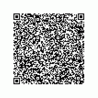 vCard 79063480273