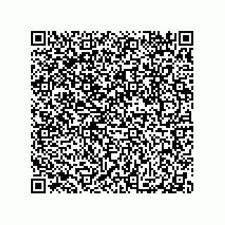 vCard 79063480274