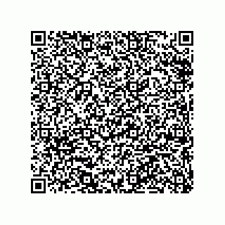 vCard 79063480275