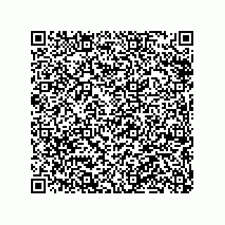 vCard 79063480277