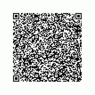 vCard 79063480281