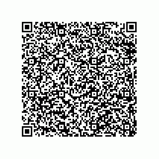 vCard 79063480289