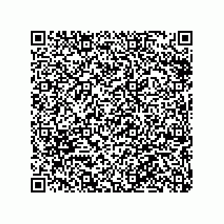 vCard 79063480291