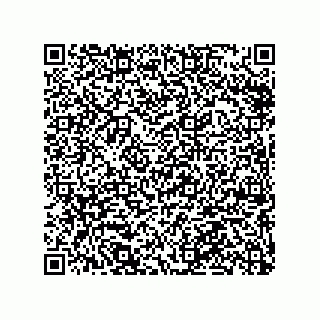 vCard 79063480292