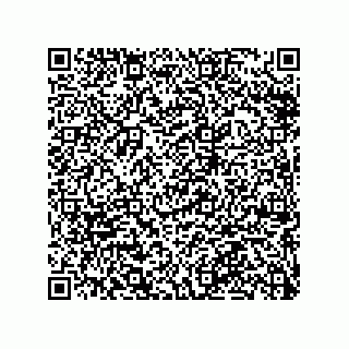 vCard 79063480294