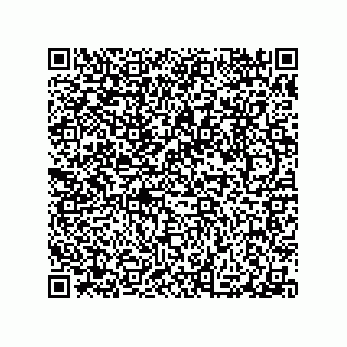 vCard 79063480295