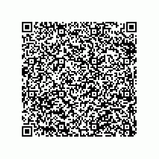 vCard 79063480296