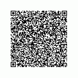 vCard 79063480297