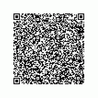 vCard 79063480299