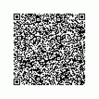 vCard 79063480300