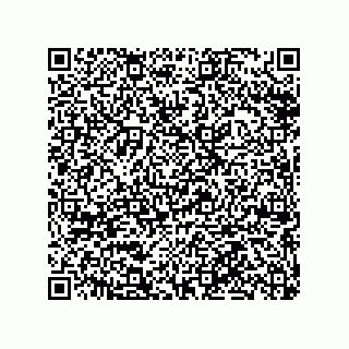 vCard 79063480301