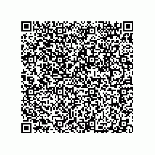 vCard 79063480302