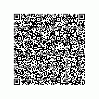 vCard 79063480304