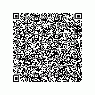 vCard 79063480305