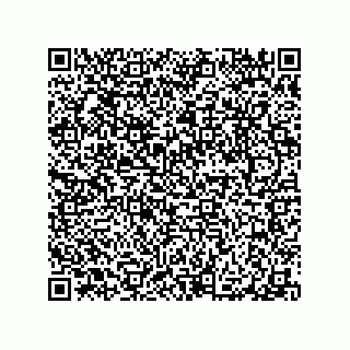vCard 79063480309