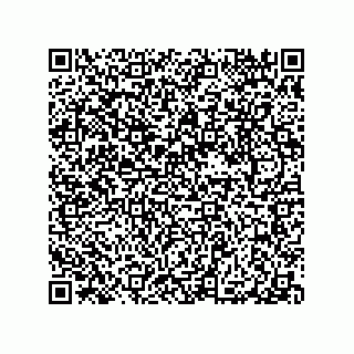 vCard 79063480310