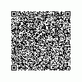 vCard 79063480313