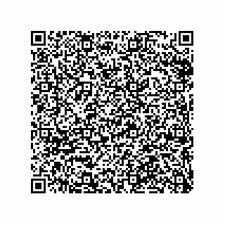 vCard 79063480314