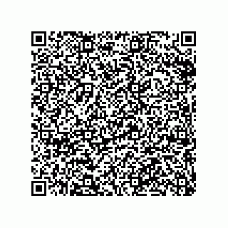 vCard 79063480315