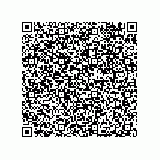 vCard 79063480317