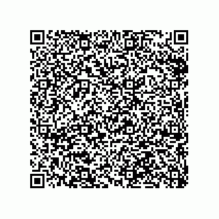 vCard 79063480318
