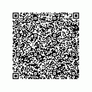 vCard 79063480319