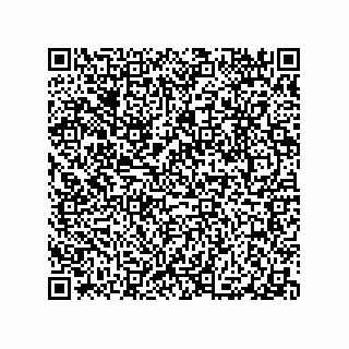 vCard 79063480320