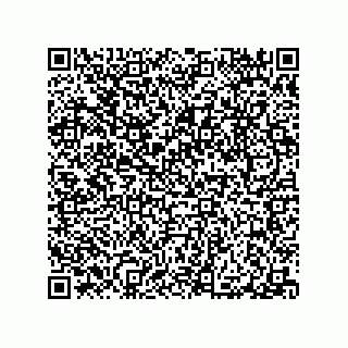 vCard 79063480321