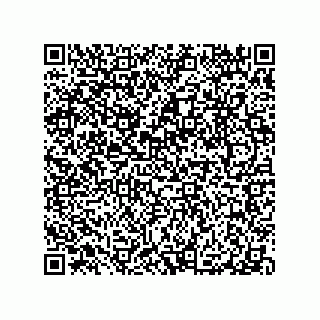 vCard 79063480322