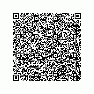 vCard 79063480324