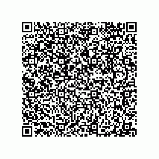 vCard 79063480325