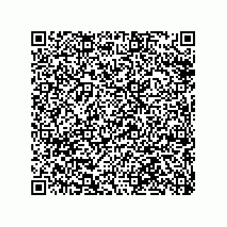 vCard 79063480328