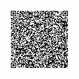 vCard 79063480330